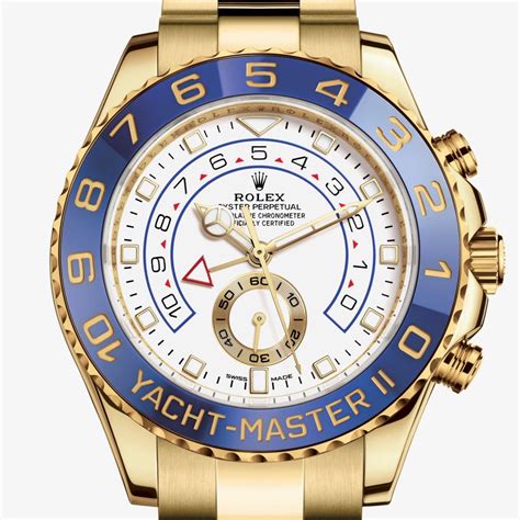 rolex yacht master nero oro giallo|rolex oyster perpetual.